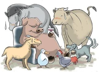 오혜영 한인회장에게 묻습니다 (3) 조지 오웰 소설 <동물농장> 돼지 나폴레옹