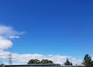 오혜영 한인회장에게 묻습니다 (5) 2024년 총회 재무보고에서 밝히지 않은 점?